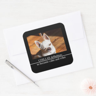 Chillax Chihuahua sleepy relaxed tongue out Photo Square Sticker