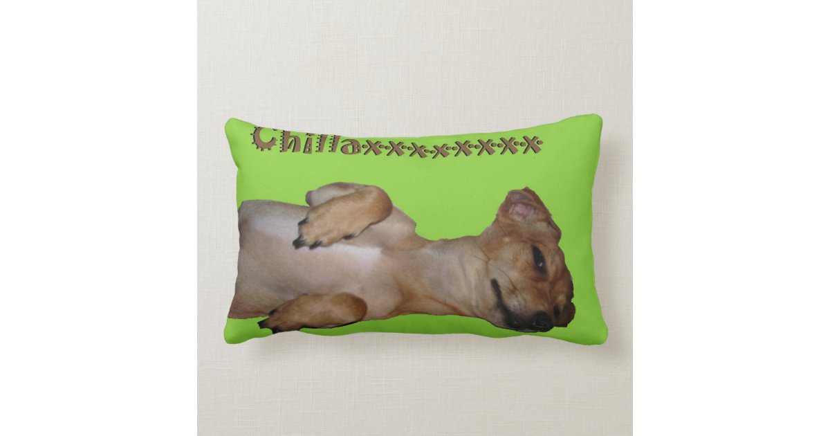 chiweenie pillow