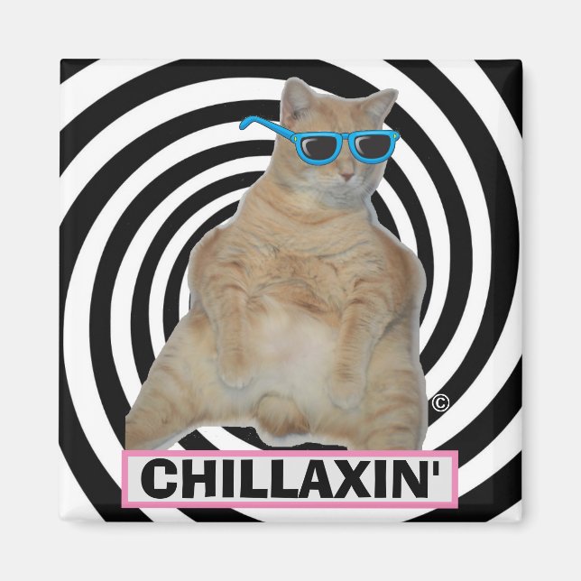 CHILLAXIN" Fat Manx Cat with Sunglasses Magnet (Front)