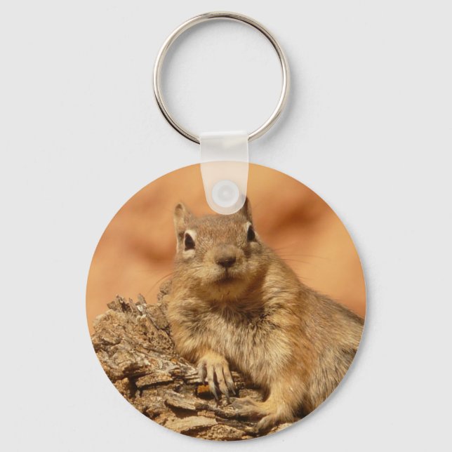 Chilled Out Ground Squirrel Keychain (Front)