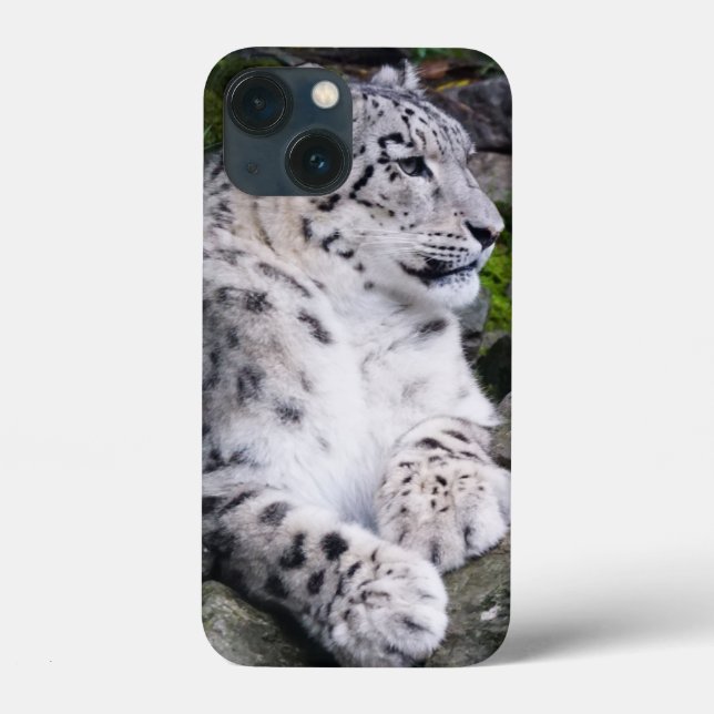 Chilled Out Snow Leopard Case-Mate iPhone Case (Back)