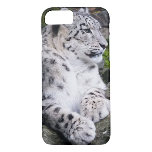 Chilled Out Snow Leopard iPhone 87 Case