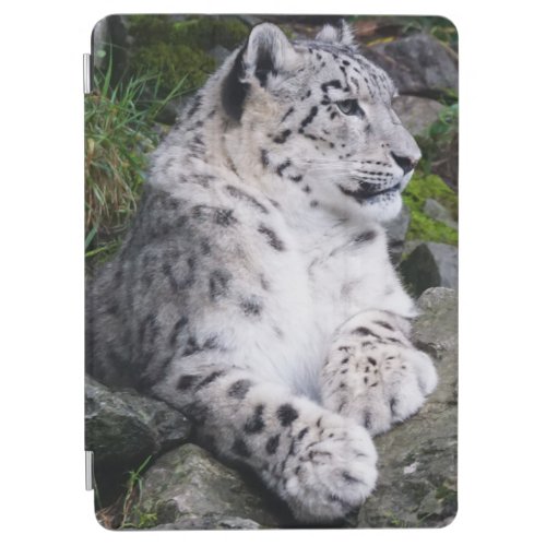 Chilled Out Snow Leopard iPad Air Cover