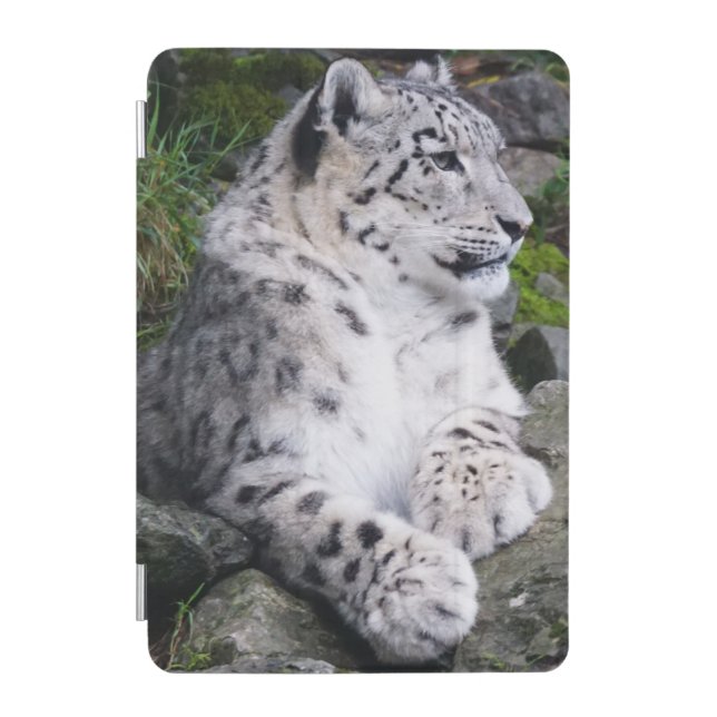 Chilled Out Snow Leopard iPad Mini Cover (Front)