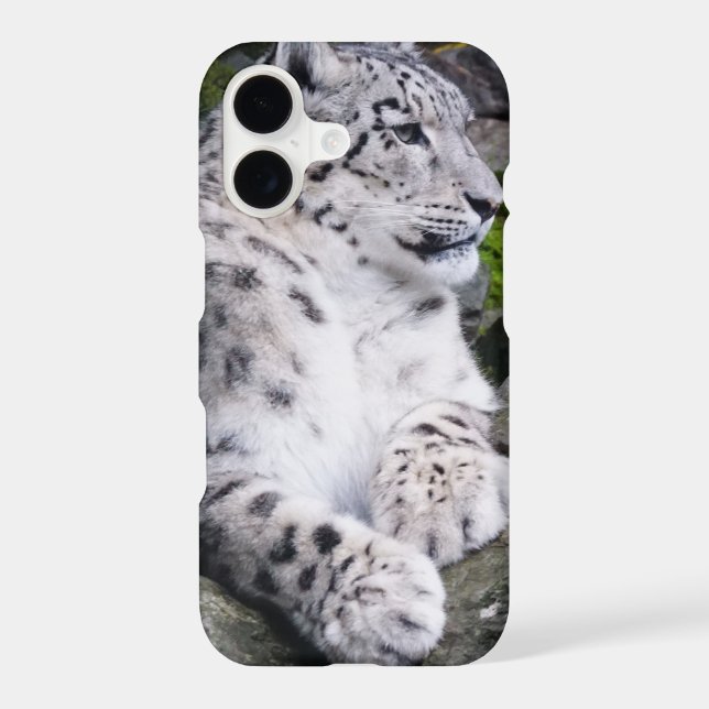 Chilled Out Snow Leopard Iphone Case (Back)