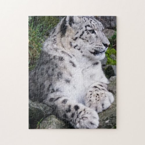 Chilled Out Snow Leopard Jigsaw Puzzle