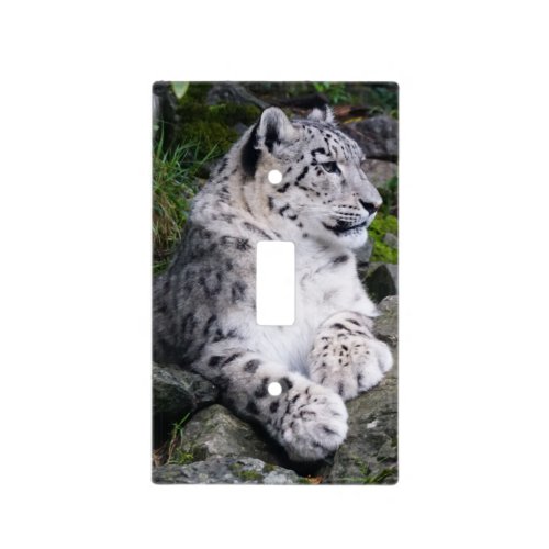 Chilled Out Snow Leopard Light Switch Cover