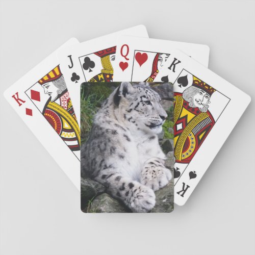 Chilled Out Snow Leopard Playing Cards