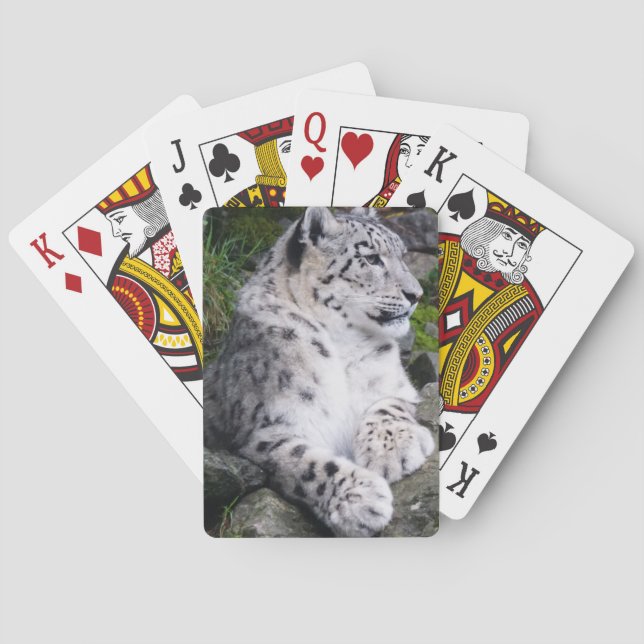 Chilled Out Snow Leopard Poker Cards (Back)