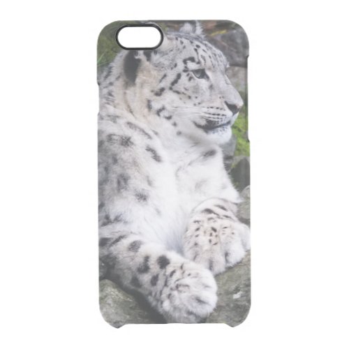 Chilled Out Snow Leopard Clear iPhone 66S Case