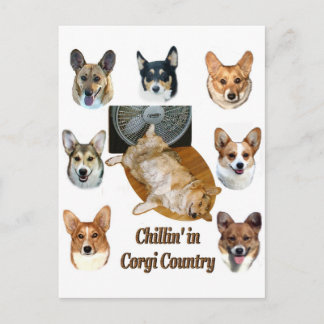Chillin' in Corgi Country Postcard