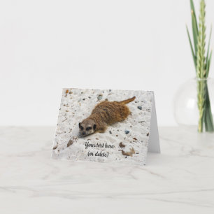 Chillin' Meerkat Folded Greeting Card