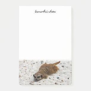 Chillin' Meerkat Post-it Notes