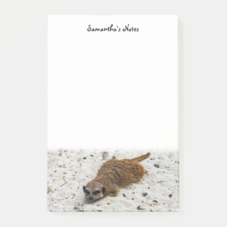 Chillin' Meerkat Post-it Notes