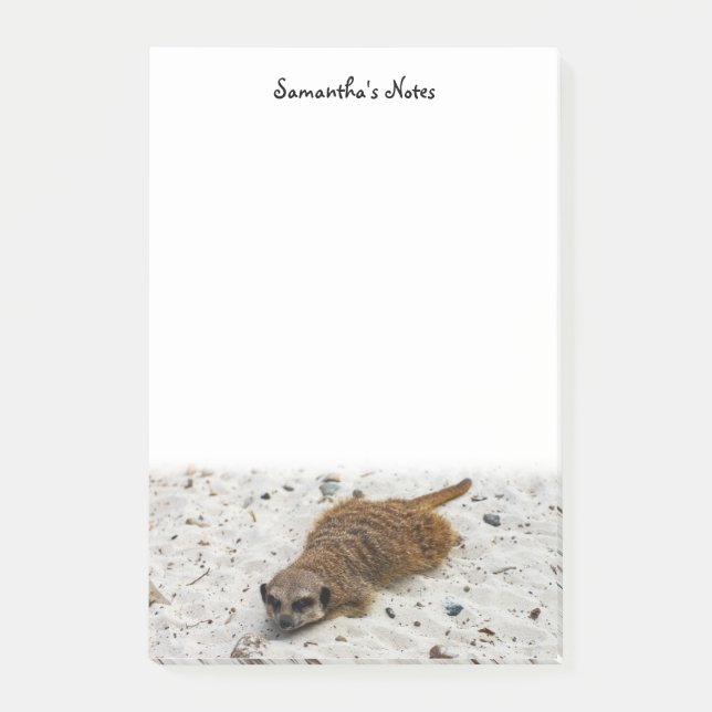 Chillin' Meerkat Post-it Notes (Front)