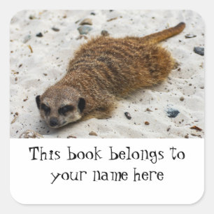 Chillin' Meerkat "This book belongs to" sticker
