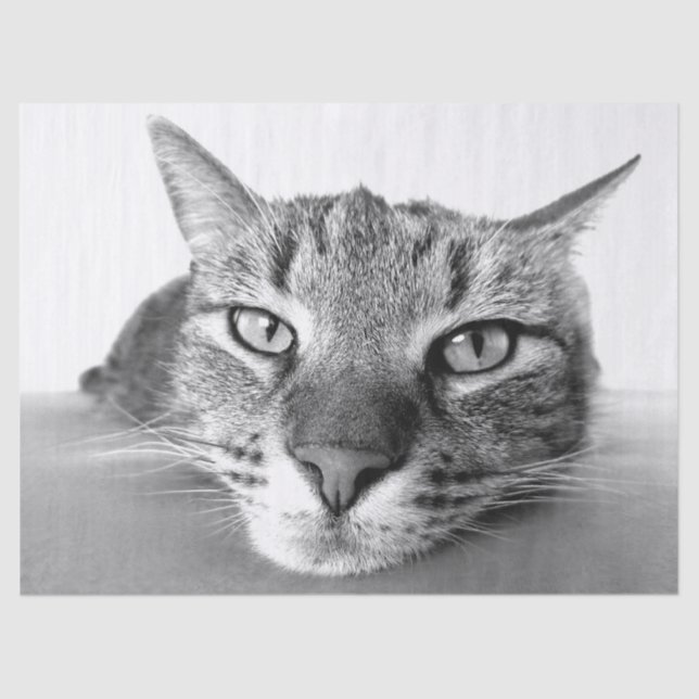 Chilling out tissue paper (Front)