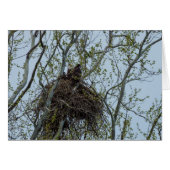 Chilling With Mom (Front Horizontal)