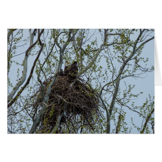 Chilling With Mom (Front Horizontal)
