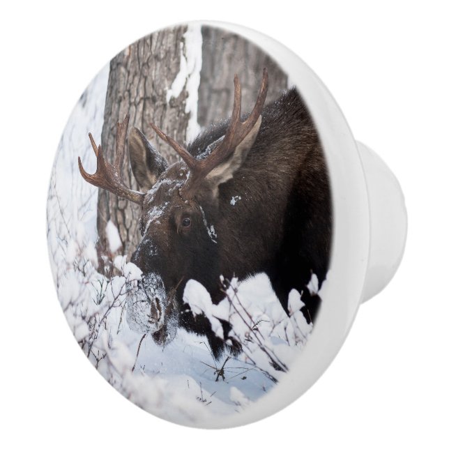 Chilly Moose Ceramic Knob (Right)