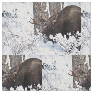 Chilly Moose Fabric