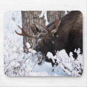 Chilly Moose Mouse Pad
