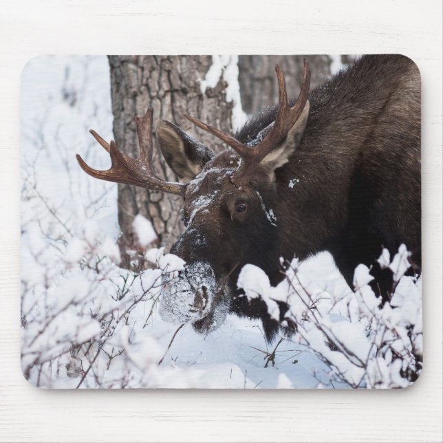 Chilly Moose Mouse Pad (Front)