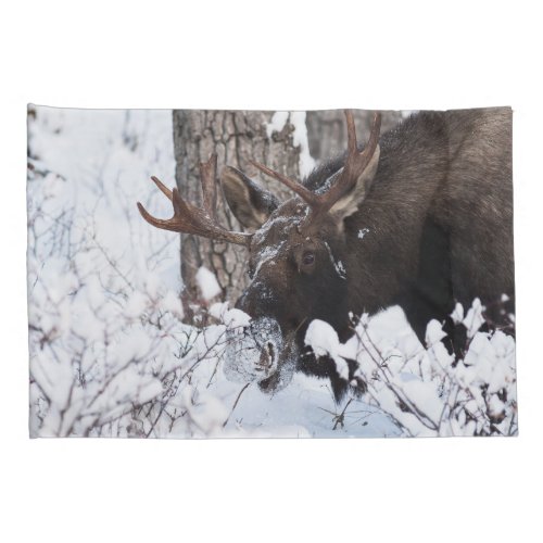 Chilly Moose Pillow Case