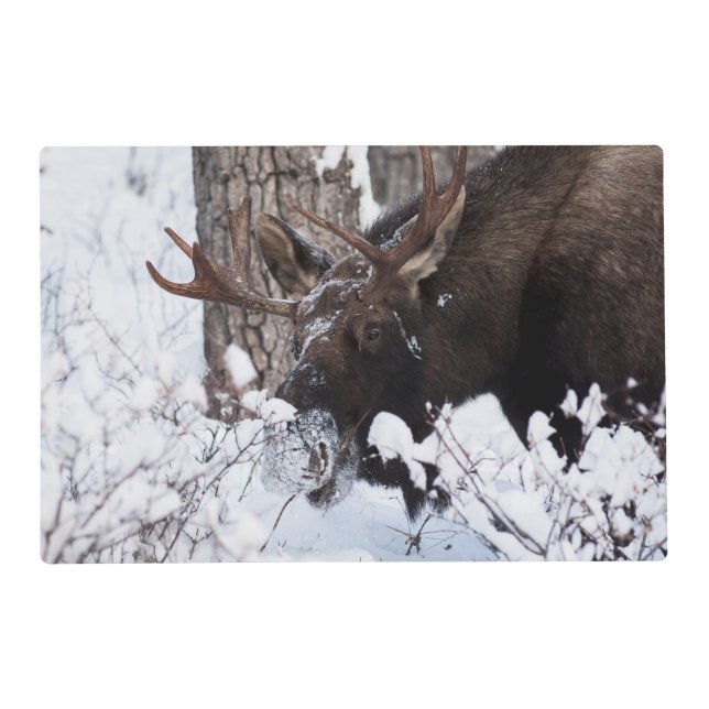 Chilly Moose Placemat (Front)