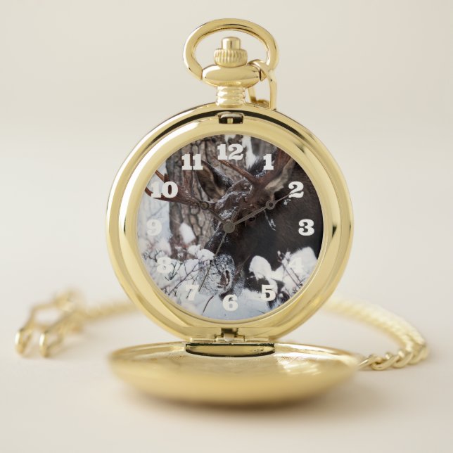 Chilly Moose Pocket Watch (Inside)