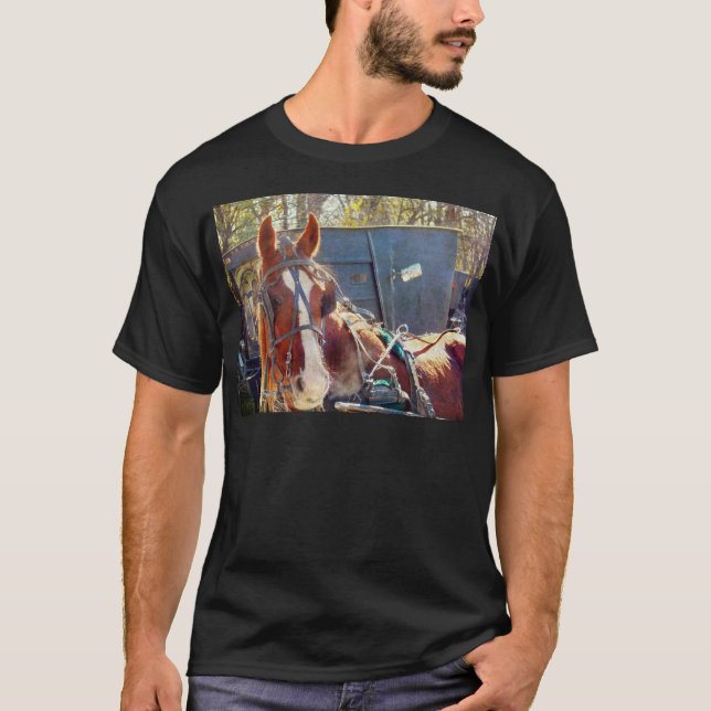 Chilly Morning Amish Horse T-Shirt (Front)