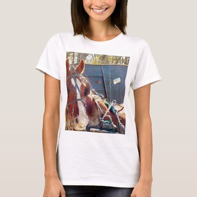 Chilly Morning Amish Horse T-Shirt (Front)