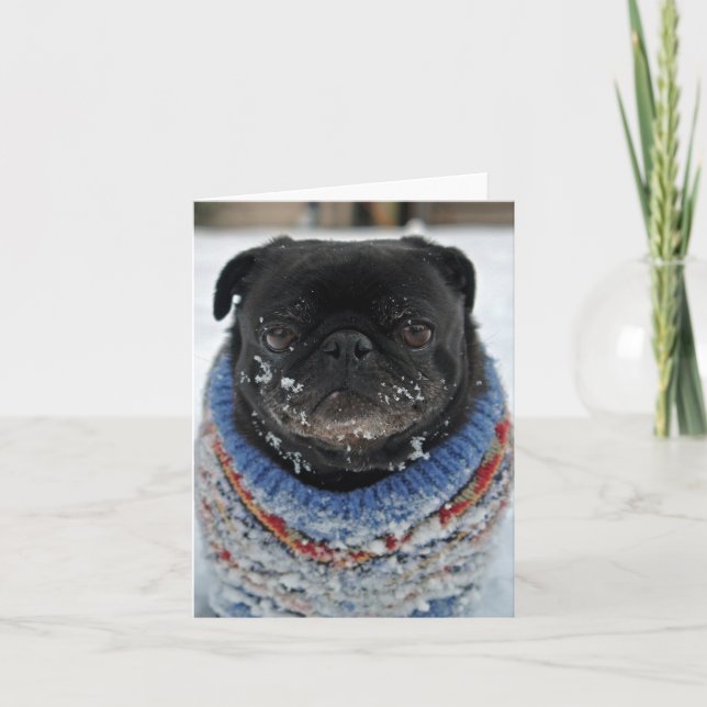 Chilly Pug Note Card - blank (Front)