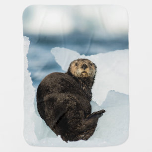 Chilly Sea Otter Baby Blanket