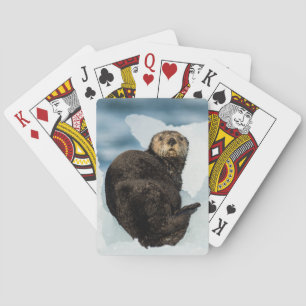 Chilly Sea Otter Poker Cards