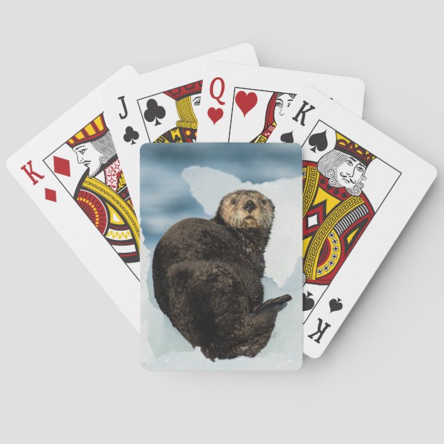 Chilly Sea Otter Poker Cards (Back)