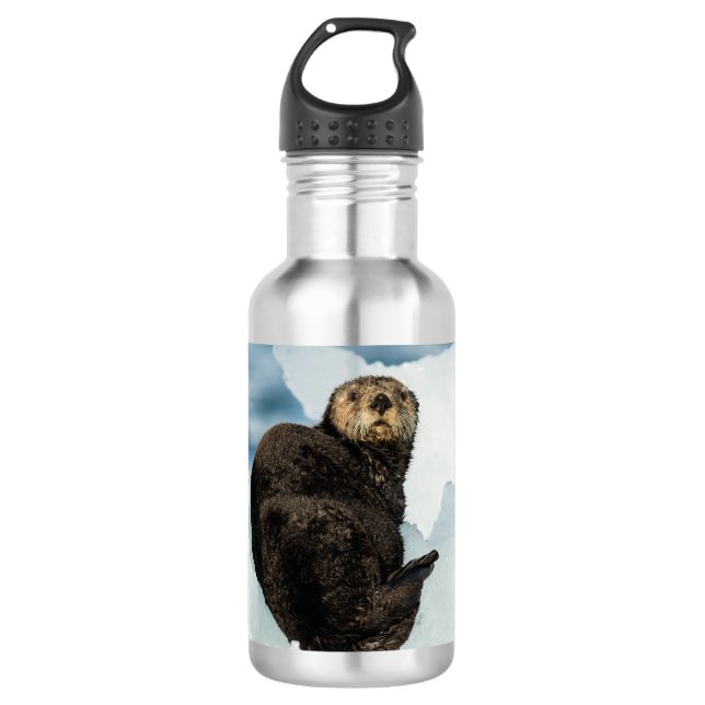 Chilly Sea Otter Stainless Steel Water Bottle (Front)