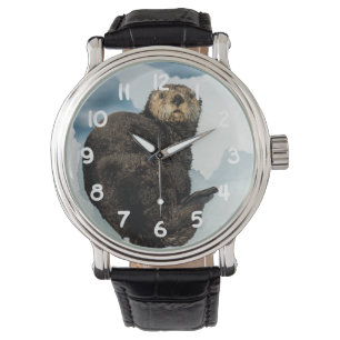 Chilly Sea Otter Watch