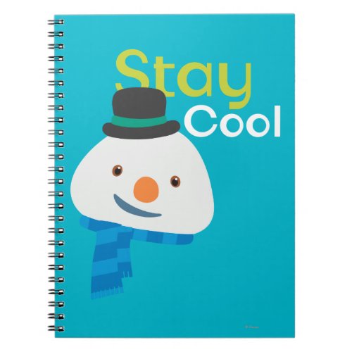 Chilly_ Stay Cool 3 Notebook