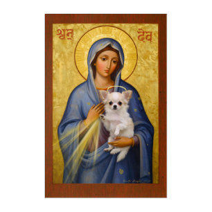 Chimama - Madonna and Chihuahua Acrylic Print