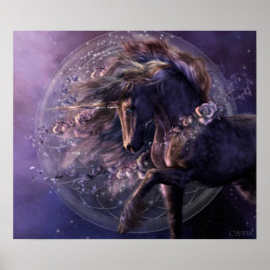 Chimera Black Rose Poster