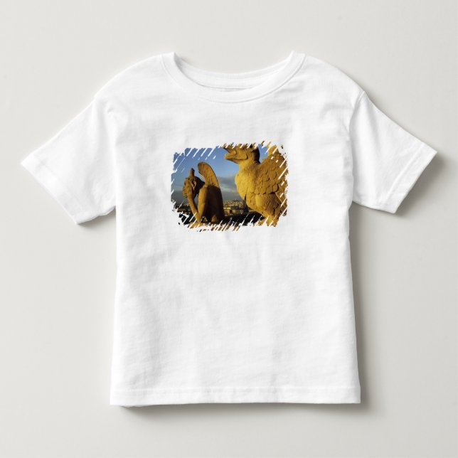 Chimera, re Dame Cathedral, Paris, France Toddler T-shirt (Front)