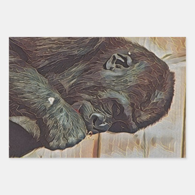 CHIMP ART WRAPPING PAPER SHEETS (Front)