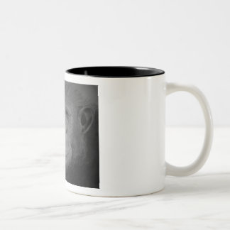Chimp Mug