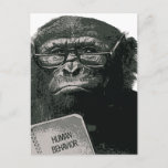 Chimp Reading Postcard