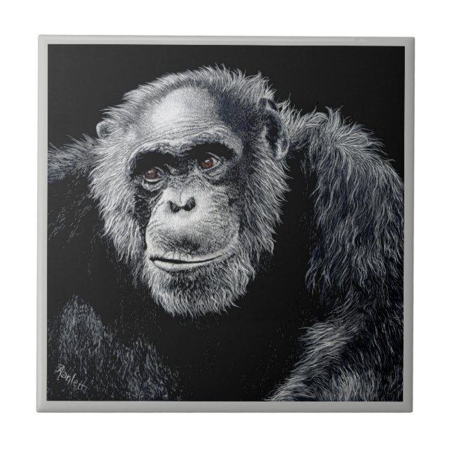 Chimp Tile - "Jacob" (Front)