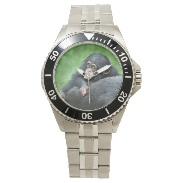 Chimpanzee 005 watch (Front)