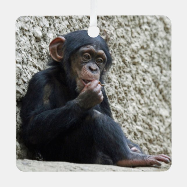 Chimpanzee 013 metal ornament (Front)