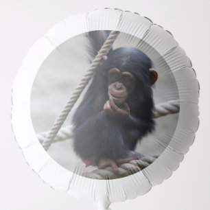 Chimpanzee 030 balloon