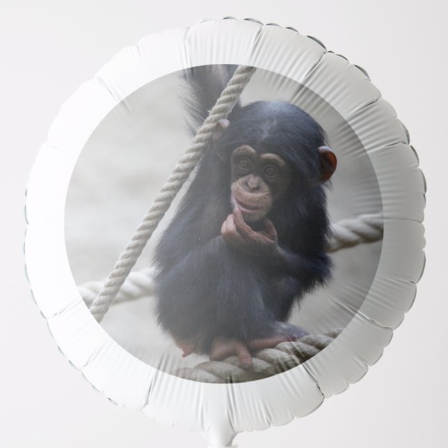 Chimpanzee 030 balloon (Front)
